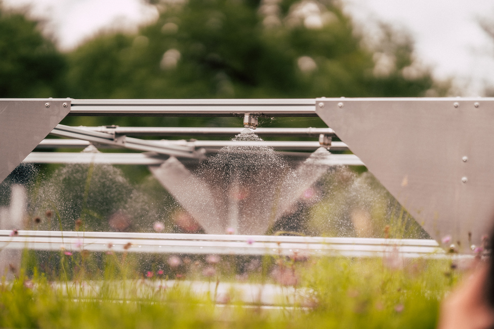 Das Gründach: Leipziger Wasserwerke erforschen seine Wirkung