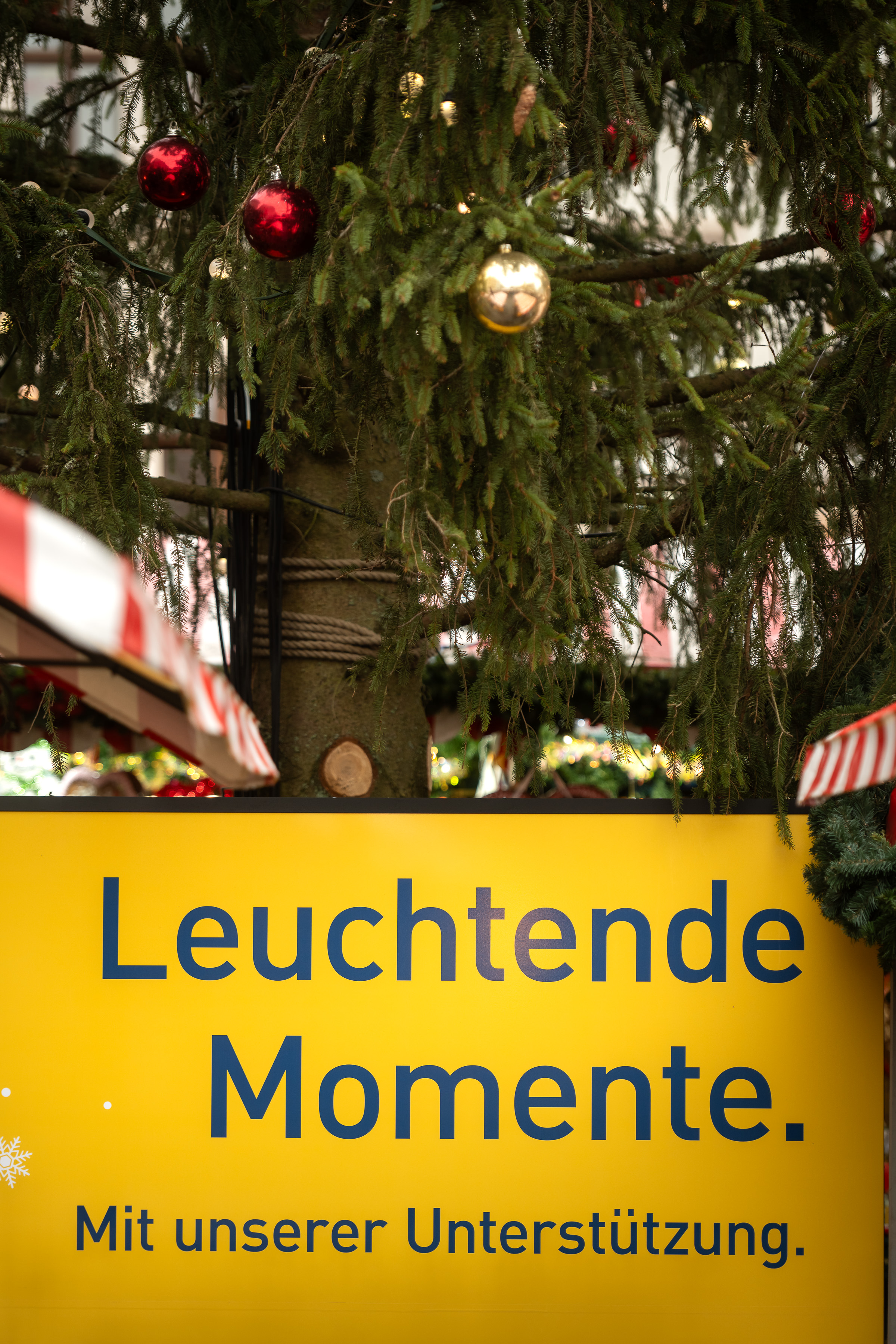 Leuchtende Momente auf dem Markt