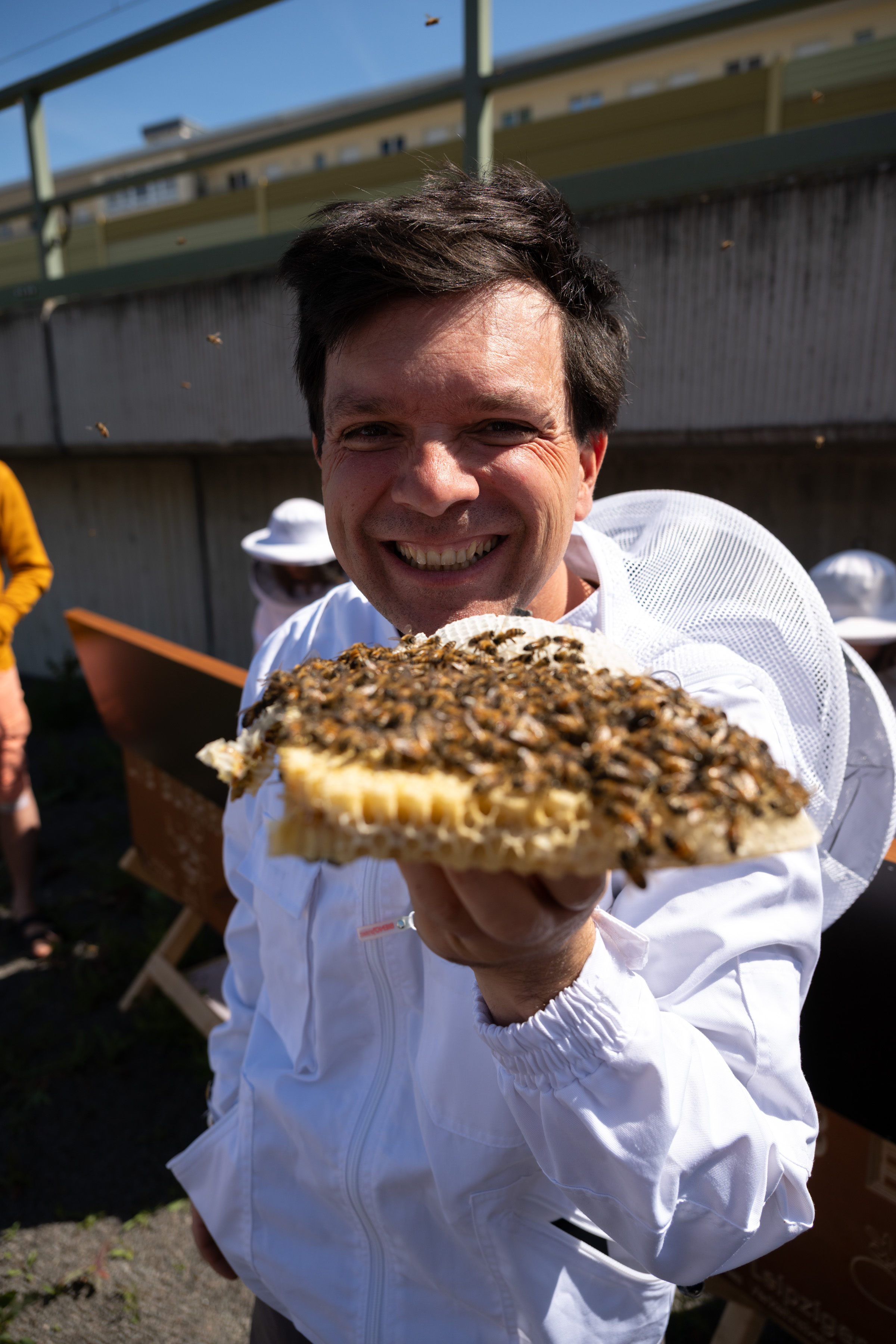 Eine Person in einer Imkerjacke hält ein Stück Wabe mit vielen Bienen darauf. 