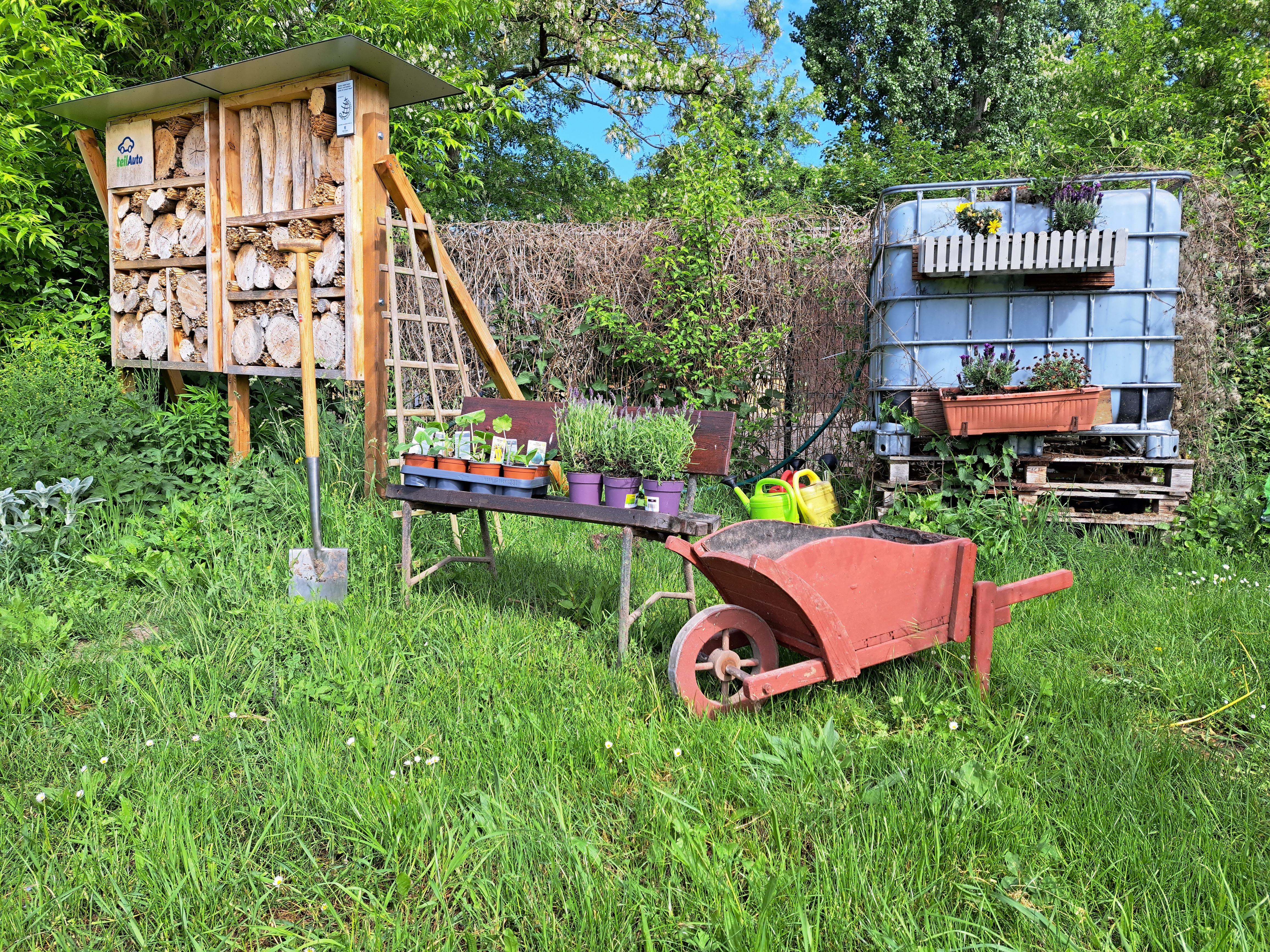 Grün statt Blau-Weiß: Der Club hat sich nicht nur dem Fußball verschrieben, sondern auch einer nachhaltigen Vereinsentwicklung. Bis 2030 soll und will der Club klimaneutral sein.