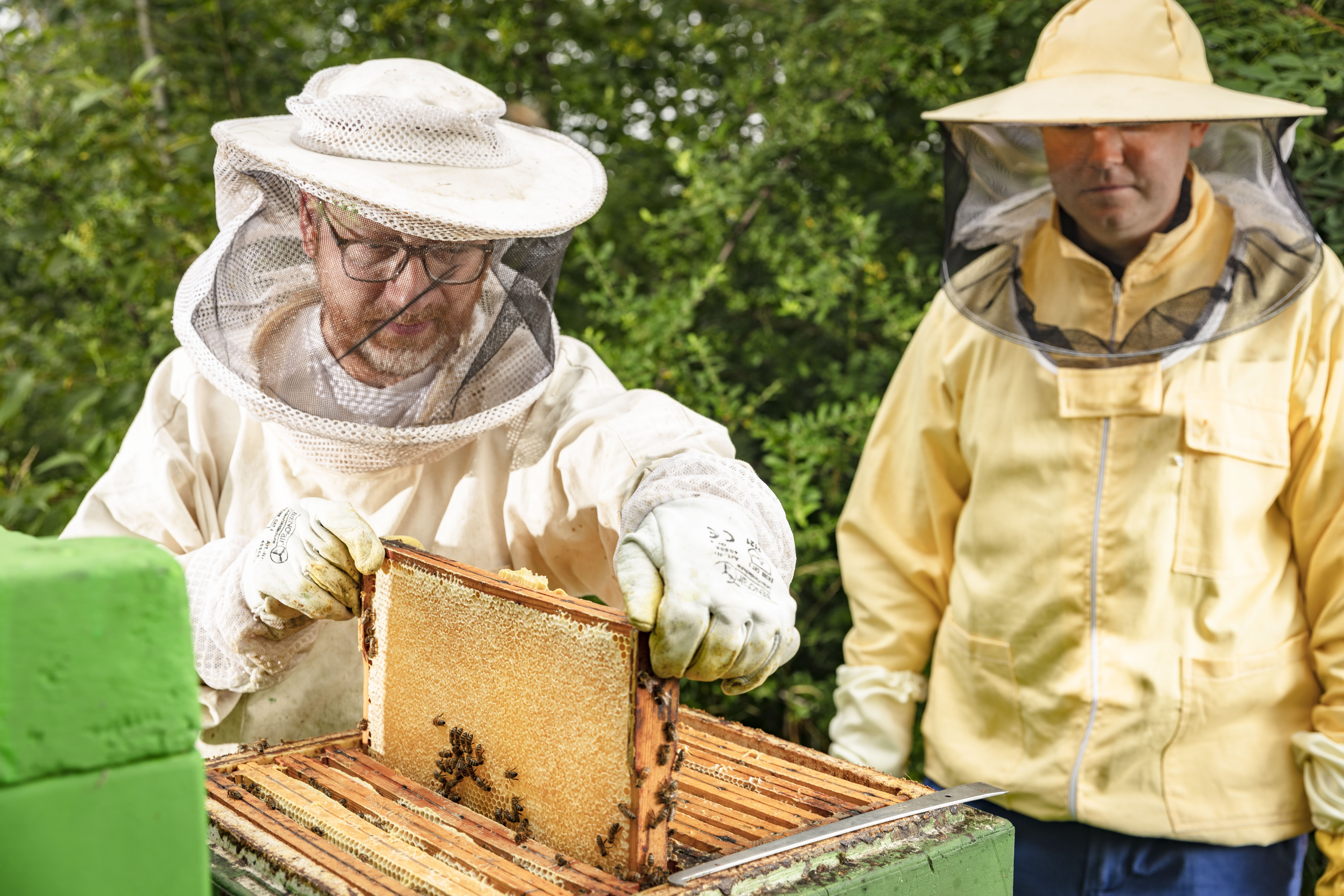 Zwei Personen stehen in Amkerkleidung an einem geöffneten Bienenstock und schauen eine Wabe an. 