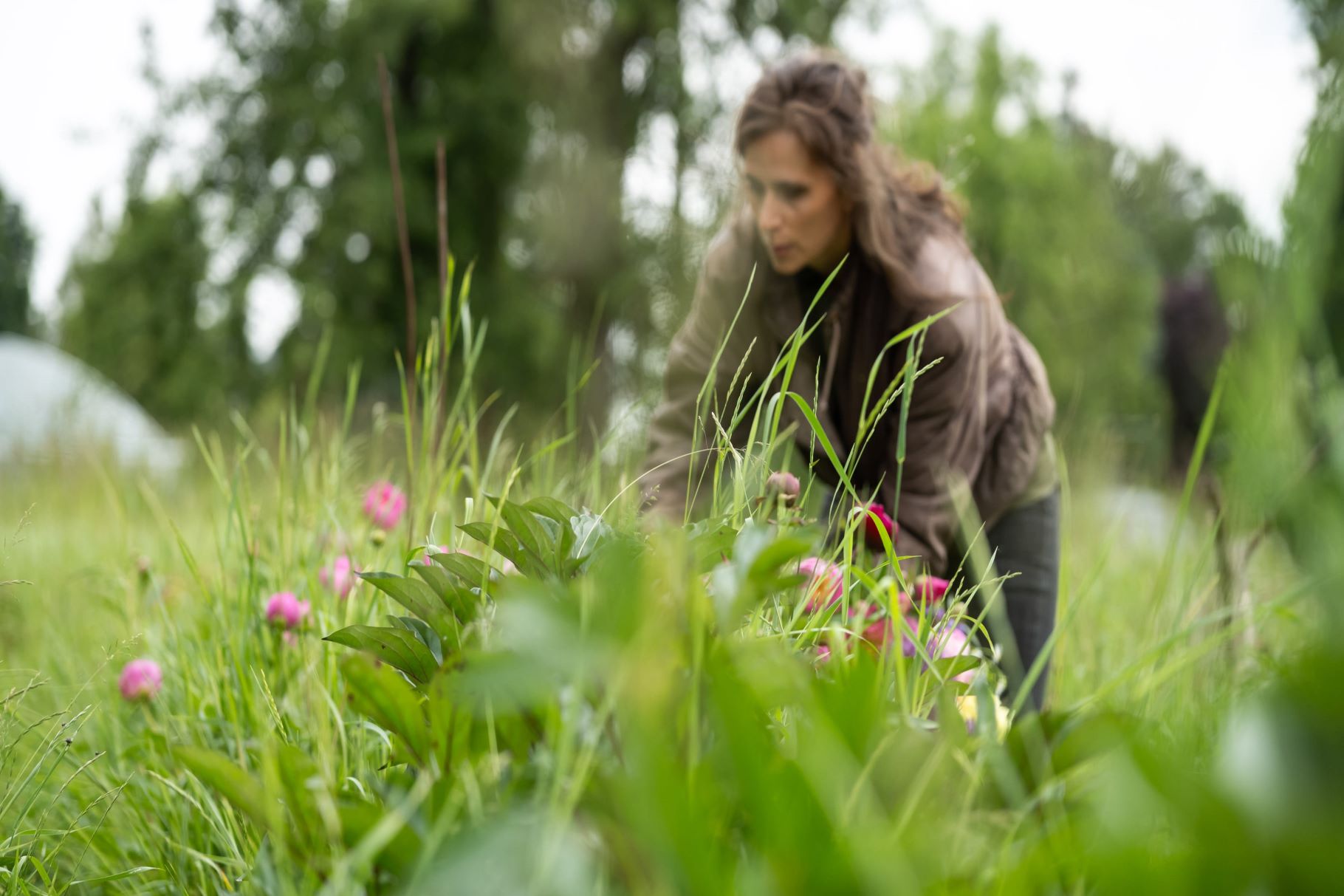Inga auf der Blumenwiese