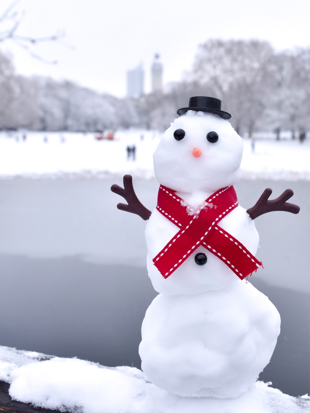 Erlebnisjahr Februar 