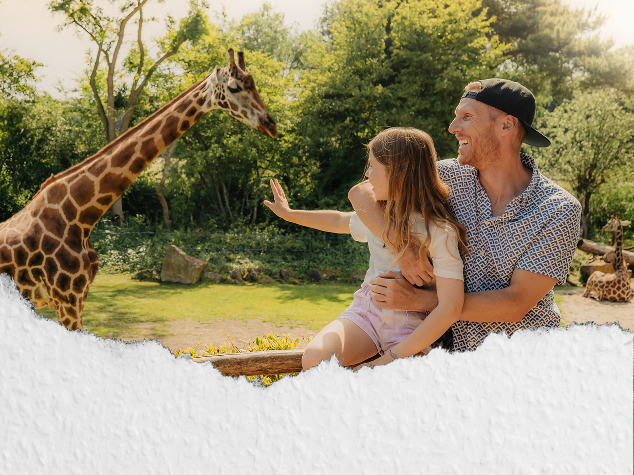 Vater sitzt mit seiner kleinen Tochter im Zoo auf dem Schoß. Beide schauen eine Giraffe an.