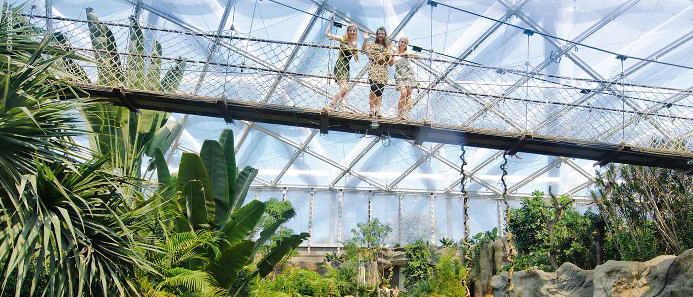 Zoo Leipzig Gondwanaland Drei Besucherinnen auf der Hängebrücke